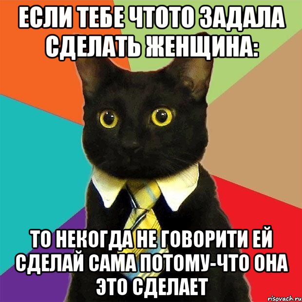 если тебе чтото задала сделать женщина: то некогда не говорити ей сделай сама потому-что она это сделает, Мем  Кошечка