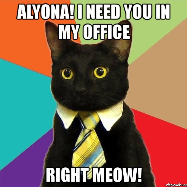 alyona! i need you in my office right meow!, Мем  Кошечка