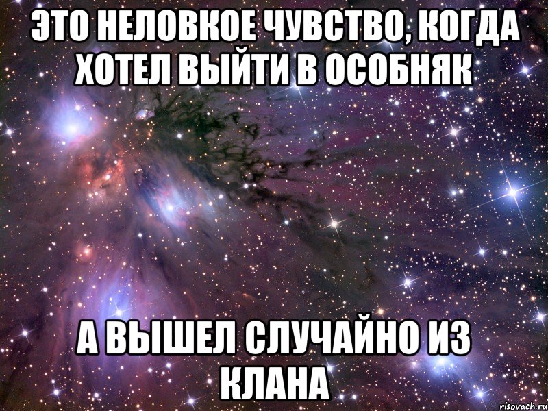 это неловкое чувство, когда хотел выйти в особняк а вышел случайно из клана, Мем Космос