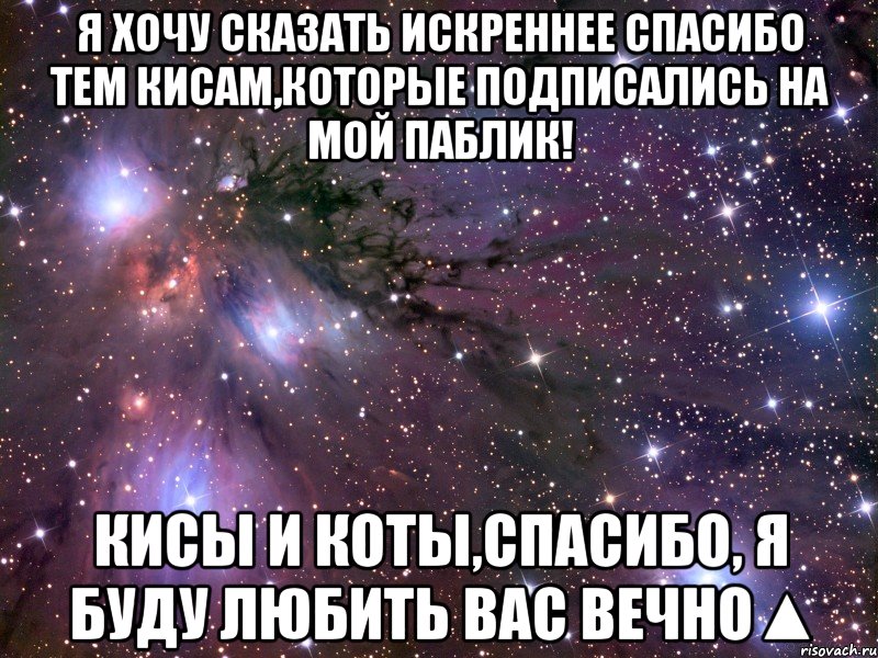 я хочу сказать искреннее спасибо тем кисам,которые подписались на мой паблик! кисы и коты,спасибо, я буду любить вас вечно▲, Мем Космос