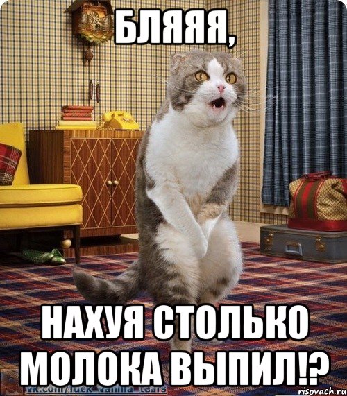 бляяя, нахуя столько молока выпил!?