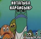 котагыса карайсын? , Мем котагыма карайсын