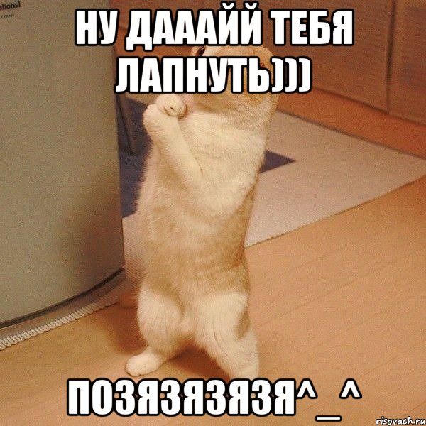 ну дааайй тебя лапнуть))) позязязязя^_^, Мем  котэ молится