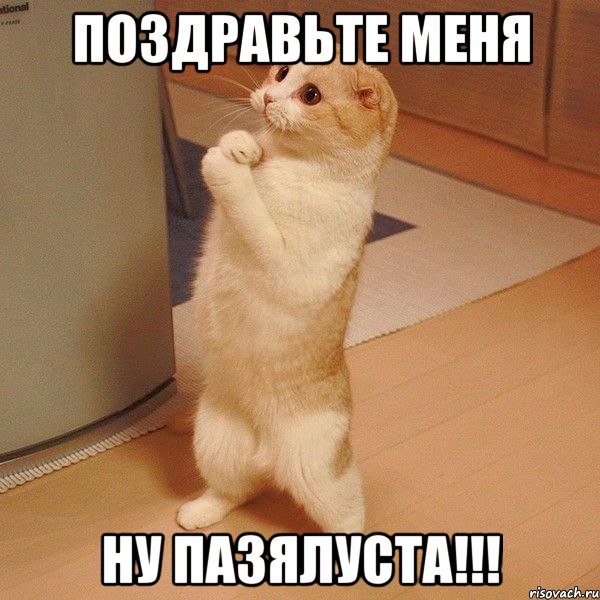 поздравьте меня ну пазялуста!!!, Мем  котэ молится