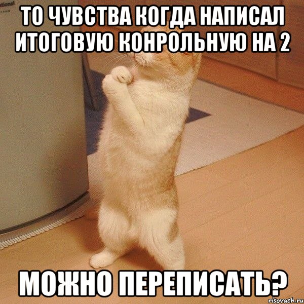 то чувства когда написал итоговую конрольную на 2 можно переписать?, Мем  котэ молится