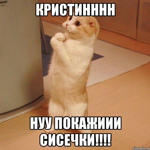 кристинннн нуу покажиии сисечки!!!, Мем  котэ молится