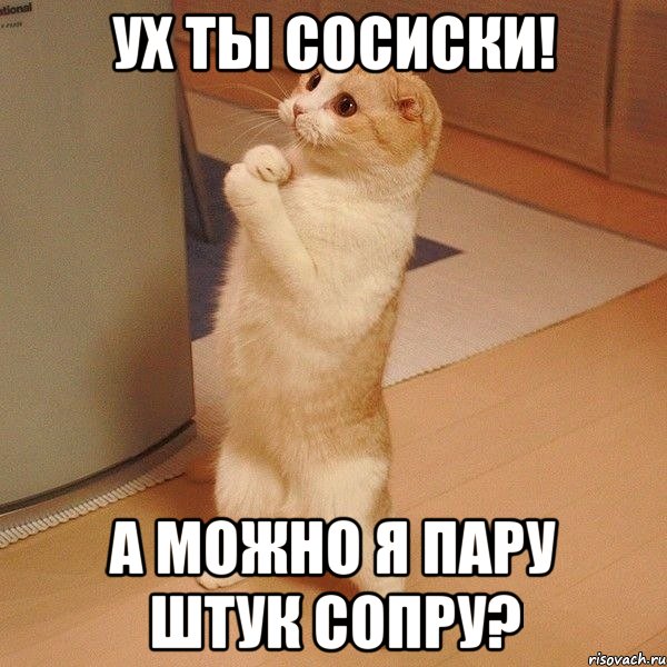 ух ты сосиски! а можно я пару штук сопру?