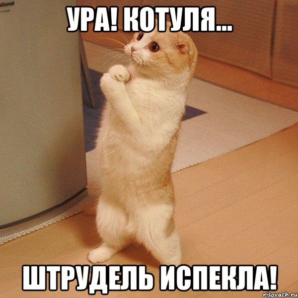 ура! котуля... штрудель испекла!, Мем  котэ молится