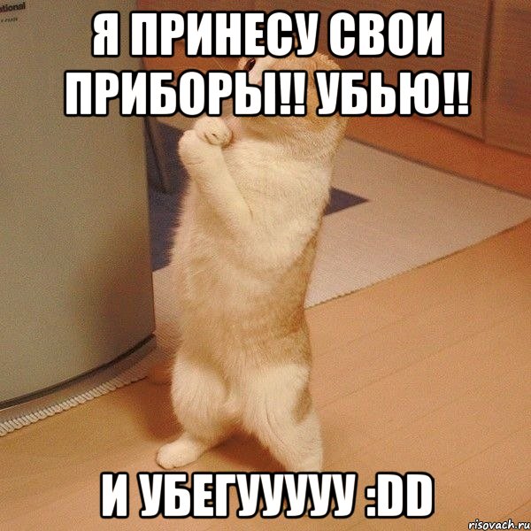 я принесу свои приборы!! убью!! и убегууууу :dd, Мем  котэ молится