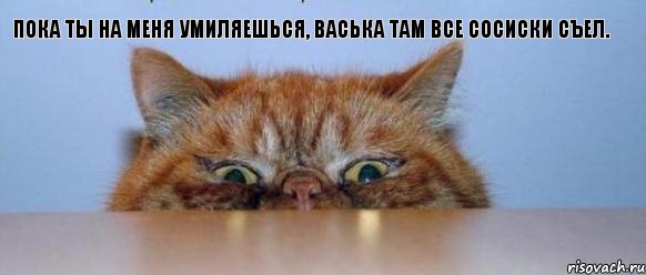 Пока ты на меня умиляешься, Васька там все сосиски съел.