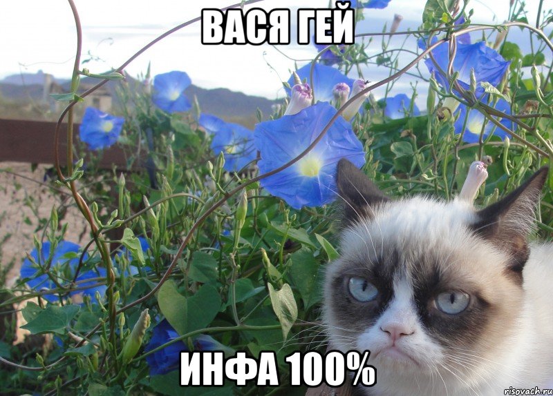 вася гей инфа 100%