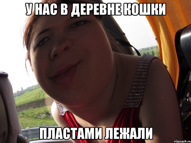 у нас в деревне кошки пластами лежали, Мем кра