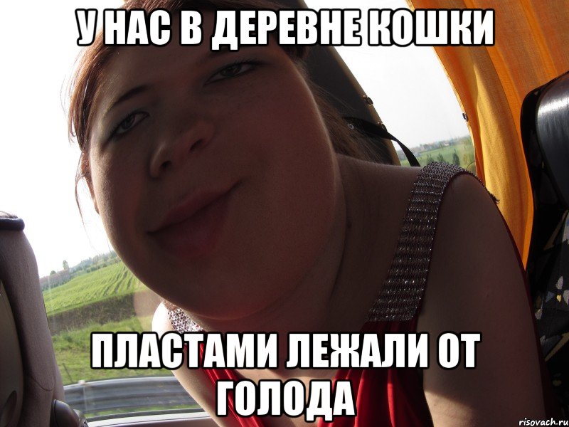 у нас в деревне кошки пластами лежали от голода, Мем кра