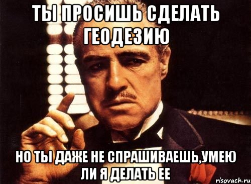 ты просишь сделать геодезию но ты даже не спрашиваешь,умею ли я делать ее, Мем крестный отец