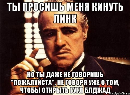 ты просишь меня кинуть линк но ты даже не говоришь "пожалуйста", не говоря уже о том, чтобы открыть гугл блджад, Мем крестный отец