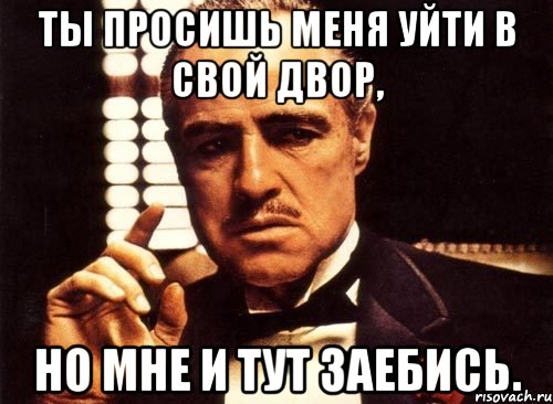 ты просишь меня уйти в свой двор, но мне и тут заебись., Мем крестный отец