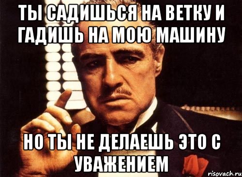 ты садишься на ветку и гадишь на мою машину но ты не делаешь это с уважением, Мем крестный отец