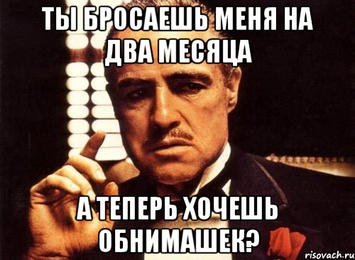 ты бросаешь меня на два месяца а теперь хочешь обнимашек?, Мем крестный отец