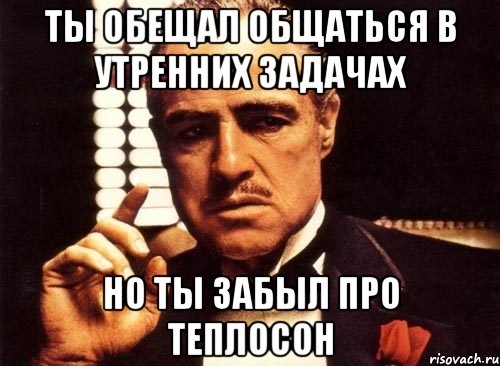 ты обещал общаться в утренних задачах но ты забыл про теплосон, Мем крестный отец