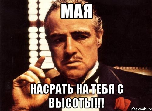 мая насрать на тебя с высоты!!!, Мем крестный отец