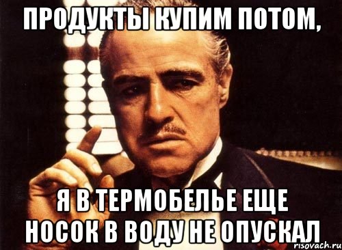 продукты купим потом, я в термобелье еще носок в воду не опускал, Мем крестный отец