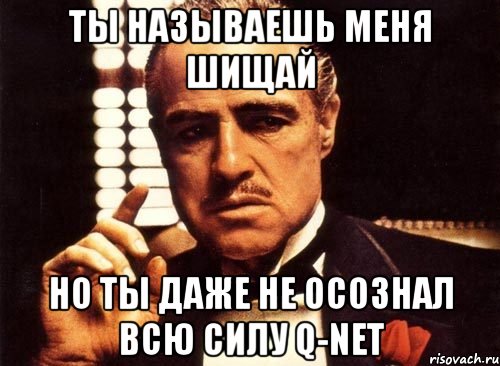 ты называешь меня шищай но ты даже не осознал всю силу q-net, Мем крестный отец