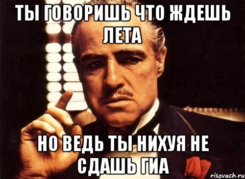 ты говоришь что ждешь лета но ведь ты нихуя не сдашь гиа, Мем крестный отец