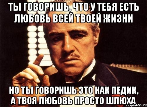 ты говоришь, что у тебя есть любовь всей твоей жизни но ты говоришь это как педик, а твоя любовь просто шлюха, Мем крестный отец