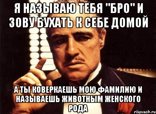 я называю тебя "бро" и зову бухать к себе домой а ты коверкаешь мою фамилию и называешь животным женского рода, Мем крестный отец