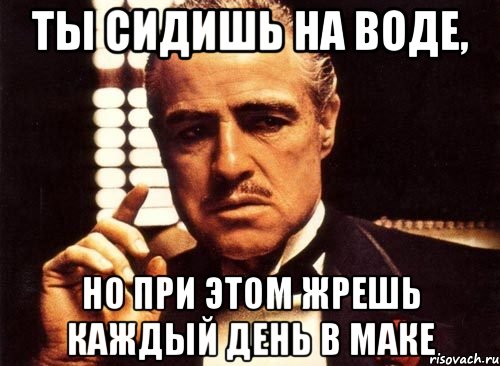 ты сидишь на воде, но при этом жрешь каждый день в маке, Мем крестный отец