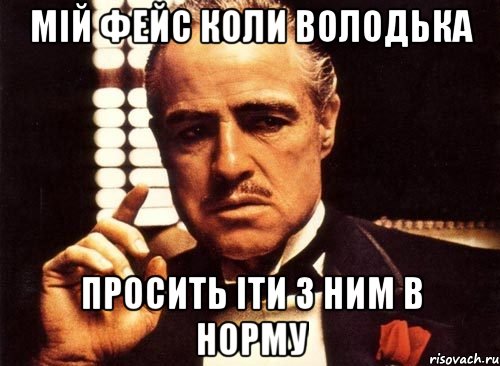 мій фейс коли володька просить іти з ним в норму, Мем крестный отец