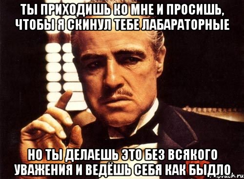 ты приходишь ко мне и просишь, чтобы я скинул тебе лабараторные но ты делаешь это без всякого уважения и ведёшь себя как быдло, Мем крестный отец