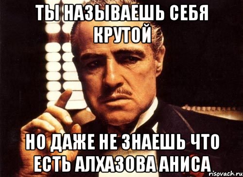 ты называешь себя крутой но даже не знаешь что есть алхазова аниса, Мем крестный отец