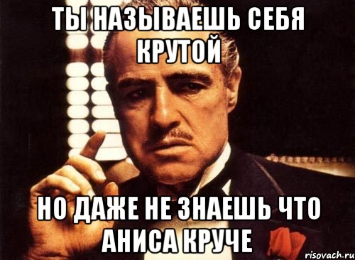 ты называешь себя крутой но даже не знаешь что аниса круче, Мем крестный отец