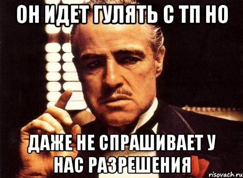 он идет гулять с тп но даже не спрашивает у нас разрешения, Мем крестный отец