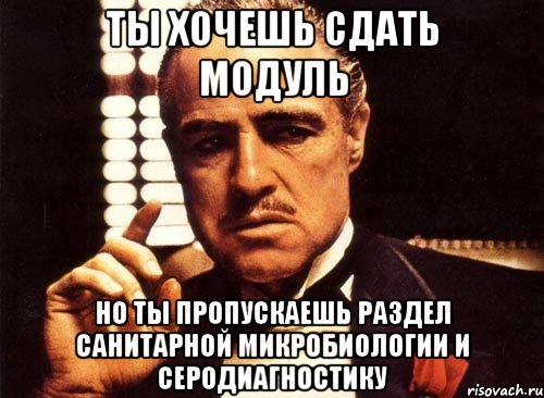 ты хочешь сдать модуль но ты пропускаешь раздел санитарной микробиологии и серодиагностику, Мем крестный отец