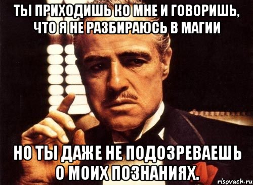 ты приходишь ко мне и говоришь, что я не разбираюсь в магии но ты даже не подозреваешь о моих познаниях., Мем крестный отец