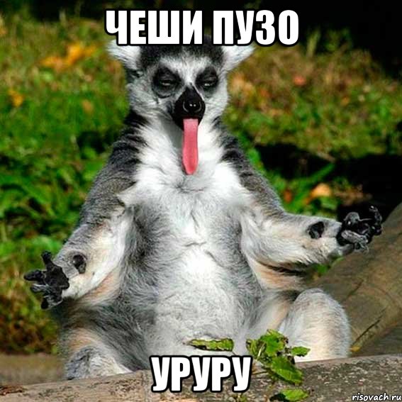 чеши пузо уруру