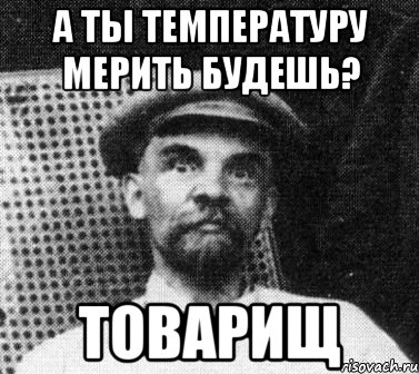 а ты температуру мерить будешь? товарищ, Мем   Ленин удивлен