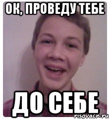 ок, проведу тебе до себе, Мем Лесик