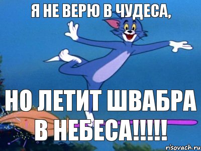 я не верю в чудеса, но летит швабра в небеса!!!, Мем летун