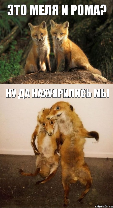 Это Меля и Рома? ну да нахуярились мы, Комикс Лисицы