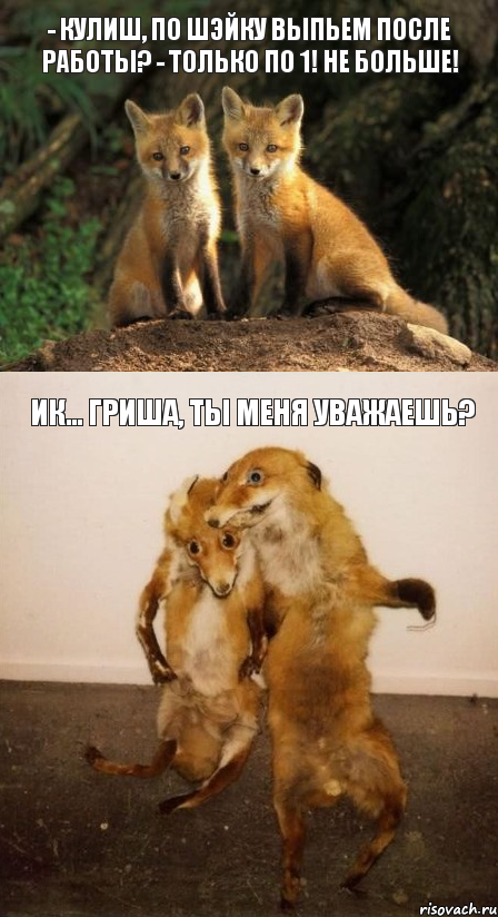 - Кулиш, по шэйку выпьем после работы? - Только по 1! не больше! Ик... Гриша, ты меня уважаешь?, Комикс Лисицы