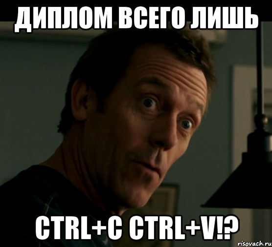 диплом всего лишь ctrl+c ctrl+v!?, Мем Лори