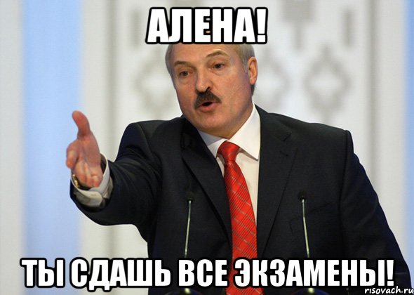 алена! ты сдашь все экзамены!, Мем лукашенко