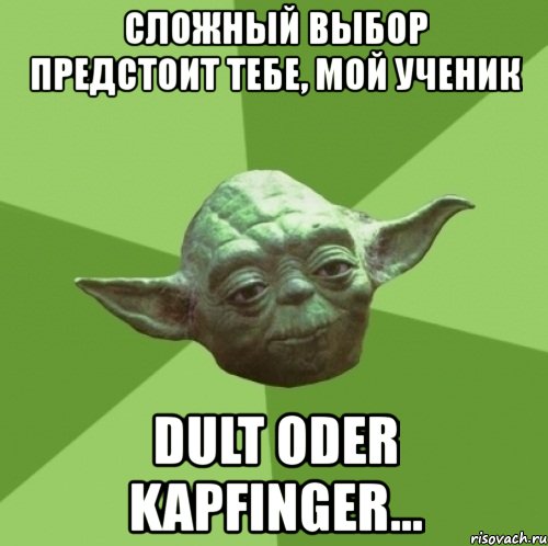 сложный выбор предстоит тебе, мой ученик dult oder kapfinger..., Мем Мастер Йода