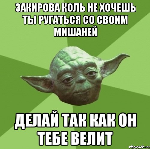 закирова коль не хочешь ты ругаться со своим мишаней делай так как он тебе велит, Мем Мастер Йода