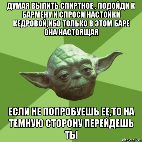 думая выпить спиртное , подойди к бармену и спроси настойки кедровой,ибо только в этом баре она настоящая если не попробуешь ее,то на темную сторону перейдешь ты, Мем Мастер Йода