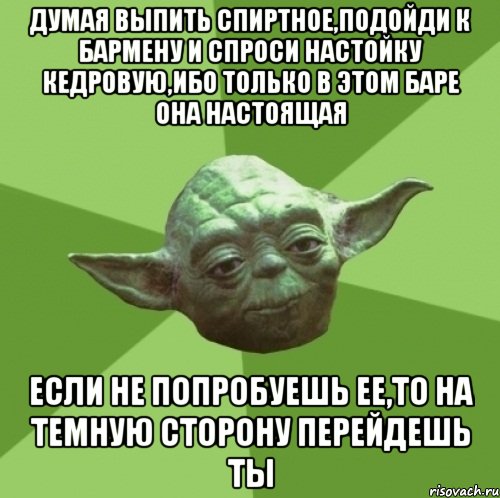 думая выпить спиртное,подойди к бармену и спроси настойку кедровую,ибо только в этом баре она настоящая если не попробуешь ее,то на темную сторону перейдешь ты, Мем Мастер Йода