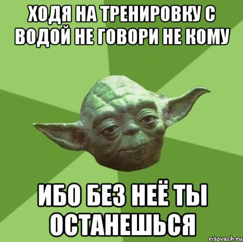 ходя на тренировку с водой не говори не кому ибо без неё ты останешься, Мем Мастер Йода